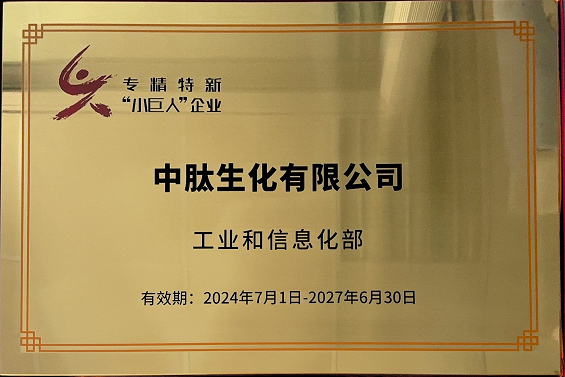 2024年专精特新“小巨人”企业